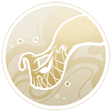 雷索纳斯安菲娅技能介绍(图10) 雷索纳斯安菲娅技能介绍(图10)