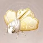 无限暖暖刺绣蛾获得方法(图2)